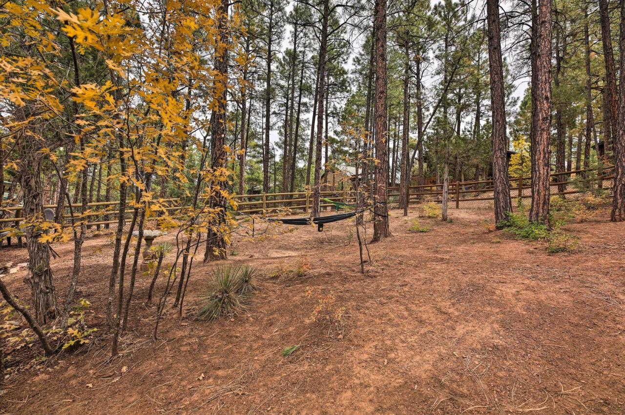 Pet-Friendly Show Low Cabin With Trail Access! Exteriör bild